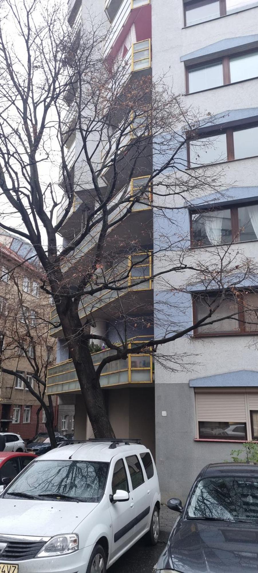 Huge Apartment Next To Train Station Close To The City Center Bratislava Extérieur photo